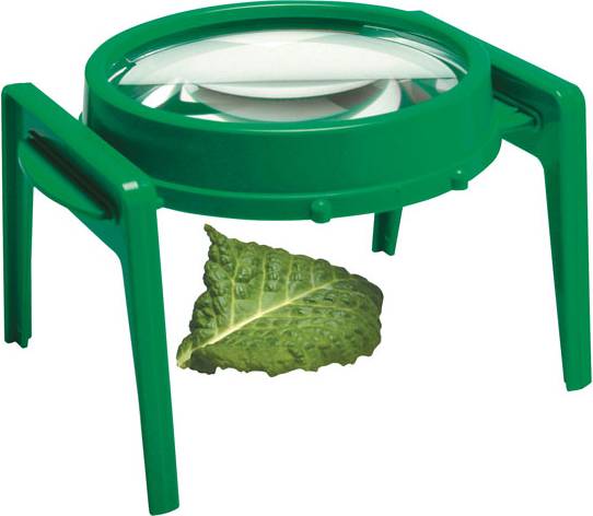 Invicta 081159 Large Magnifying Set
