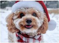 Warren Reed Christmas Cavapoo Glass Multi One Size Chopping Board