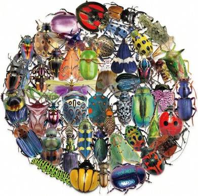 Shein 50pcs Insect Transparent Animal Stickers