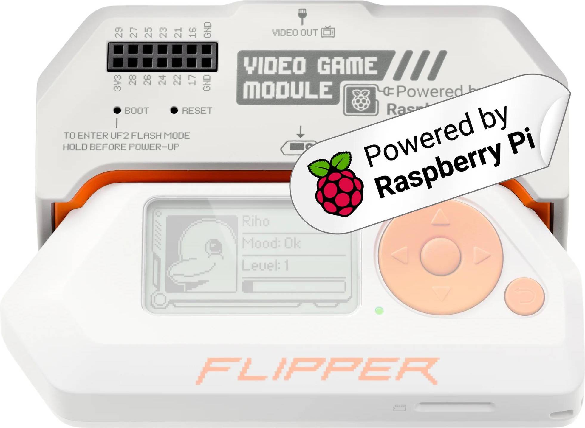 Flipper Video Game Module Flipper Zero