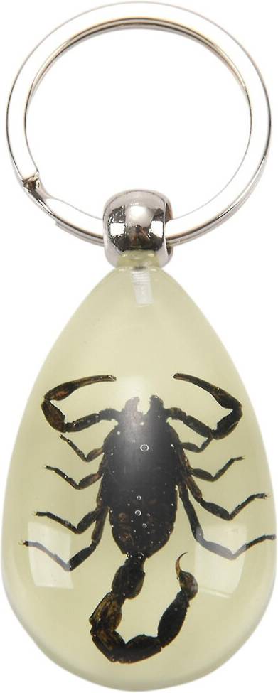 Kikidex Glow-In-The-Dark Real Insect Keychain - Black