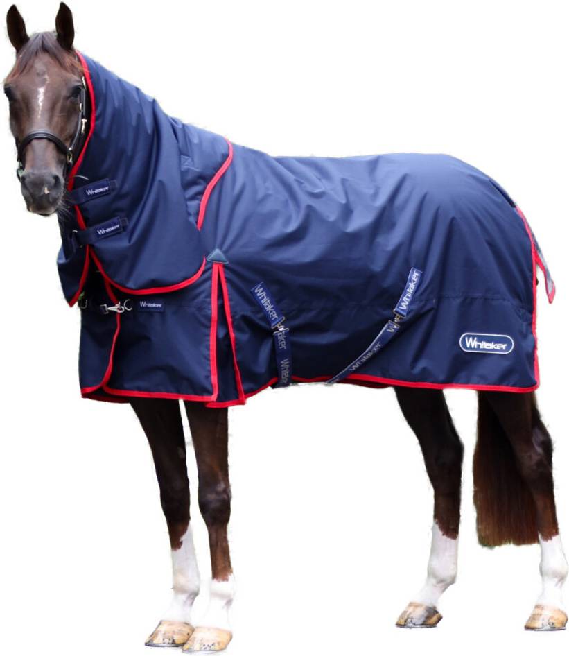 Whitaker Rastrick V2 Fixed Neck Airflow Horse Turnout Rug - Navy