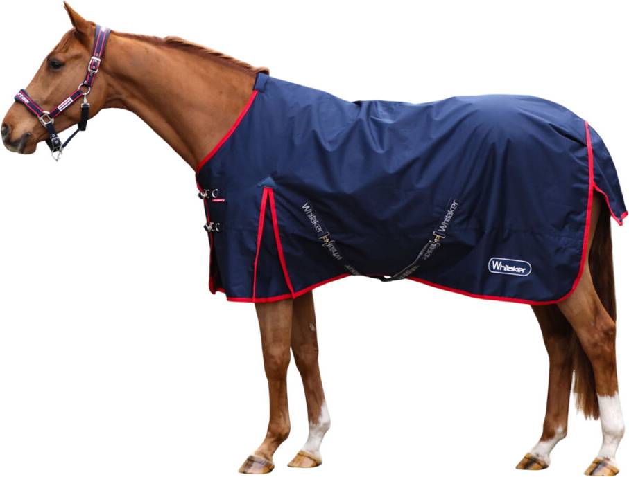 Whitaker Rastrick V2 Standard-Neck Turnout Rug - Navy