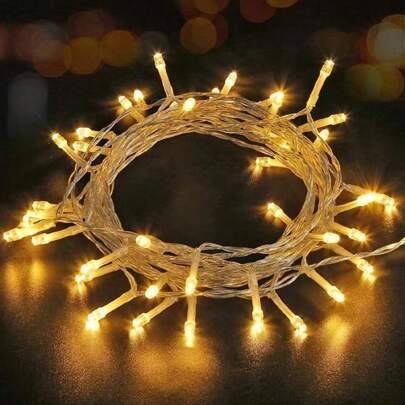 Shein 20 40 80 LED Warm Color Lights String Light