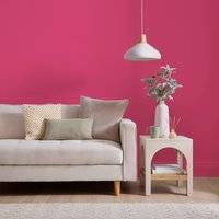 Dunelm Matt Emulsion Raspberry Ripple Wall Paint