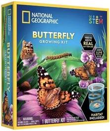 Butterfly Growing Kit Multi Color