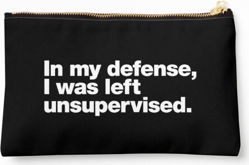 WHIBOS In My Defense In My Defense Cosmetic Organizer