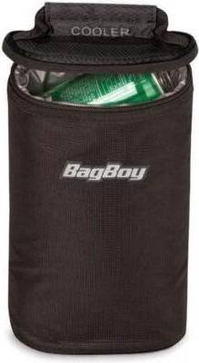 Mini Cooler