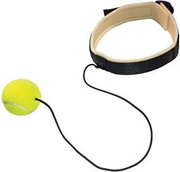 Speed ball boxing Reflex Boxing Training Speed Ball