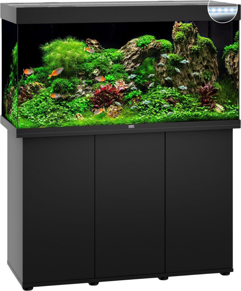 Juwel rio Juwel Rio 350 LED Black