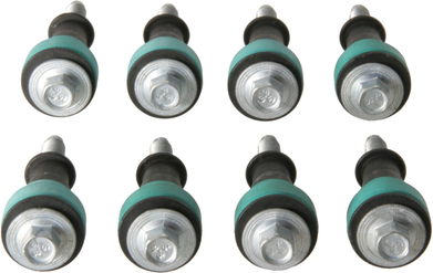 Engine Intake Manifold Bolt Set GS33439