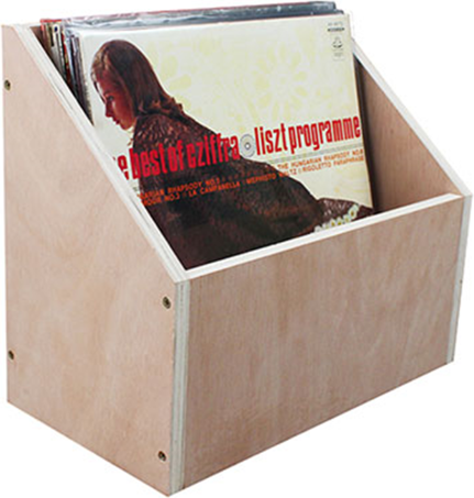 Vinyl Record Storage Box