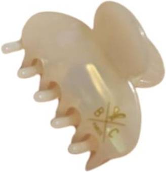 Seashell Clip Small