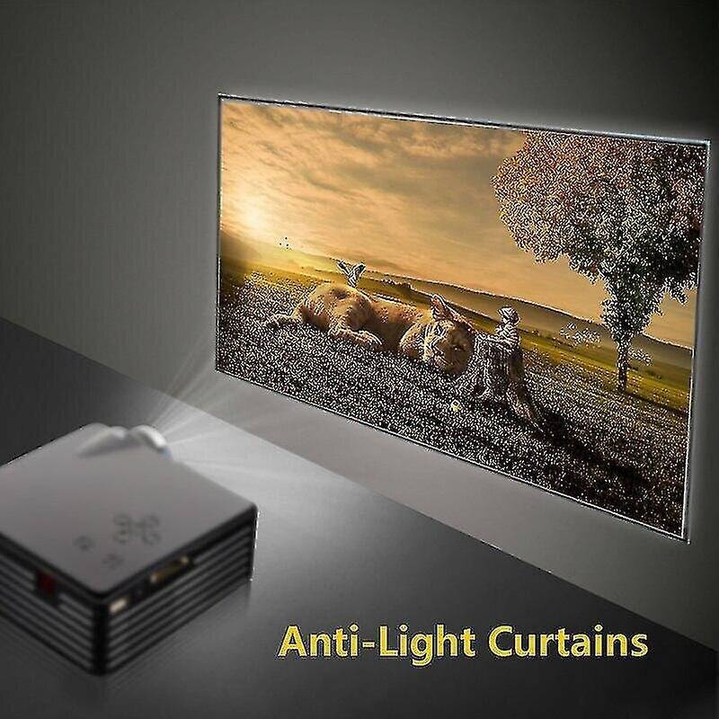 Wejoy 60-130 Inch Portable Projector Screen
