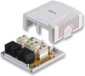 Pro Signal Socket Surface RJ45 Cat6 Double Connectors