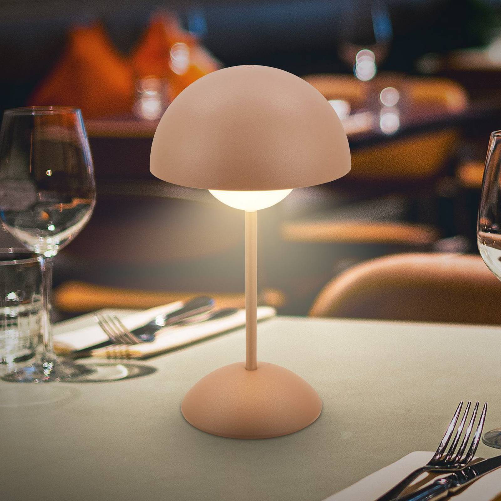 Rechargeable LED with Touch