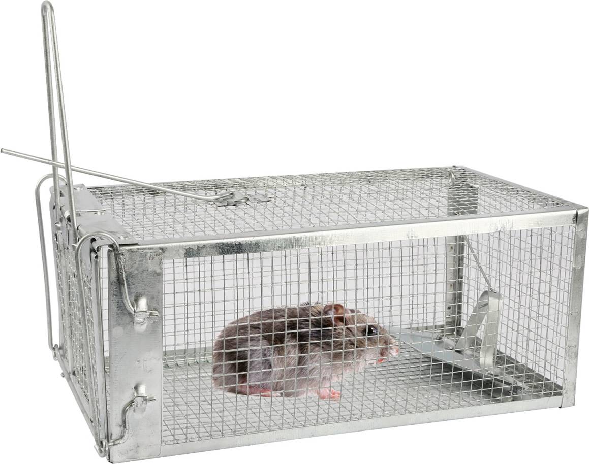 Rat Trap Cage Humane Live Rodent Galvanized Iron Mouse Control
