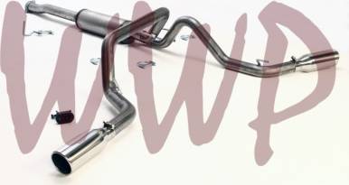 Catback exhaust Stainless Dual Split Rear Exit Catback Exhaust System