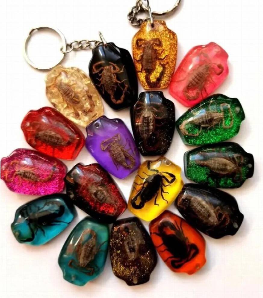 Scorpion holder Vase Real Scorpion Insect Specimen Keychain - Crafts