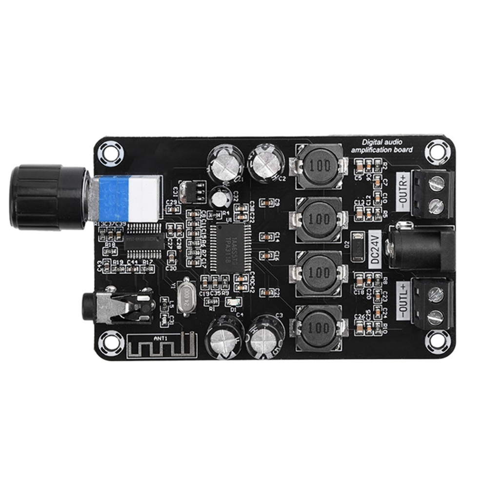 Typecat DC12V-24V Class D Amplifier Module 50W