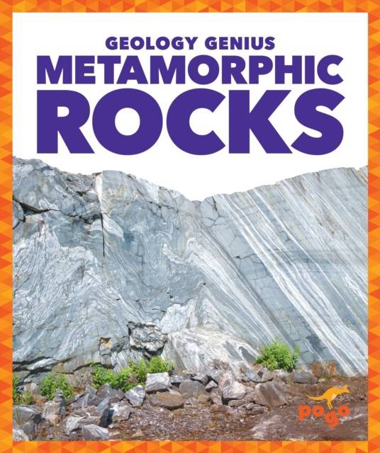 Jump! Incorporated Metamorphic Rocks (Inbunden Eng)