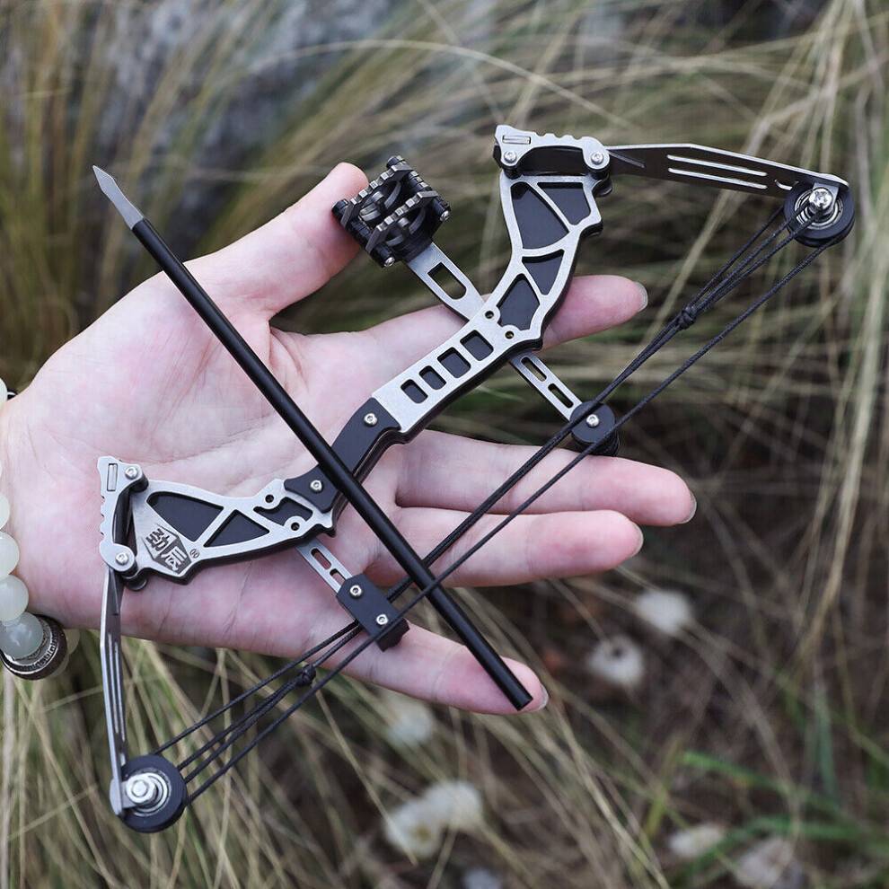 Compound bow BGHONE Mini Compound Bow Arrows Kit
