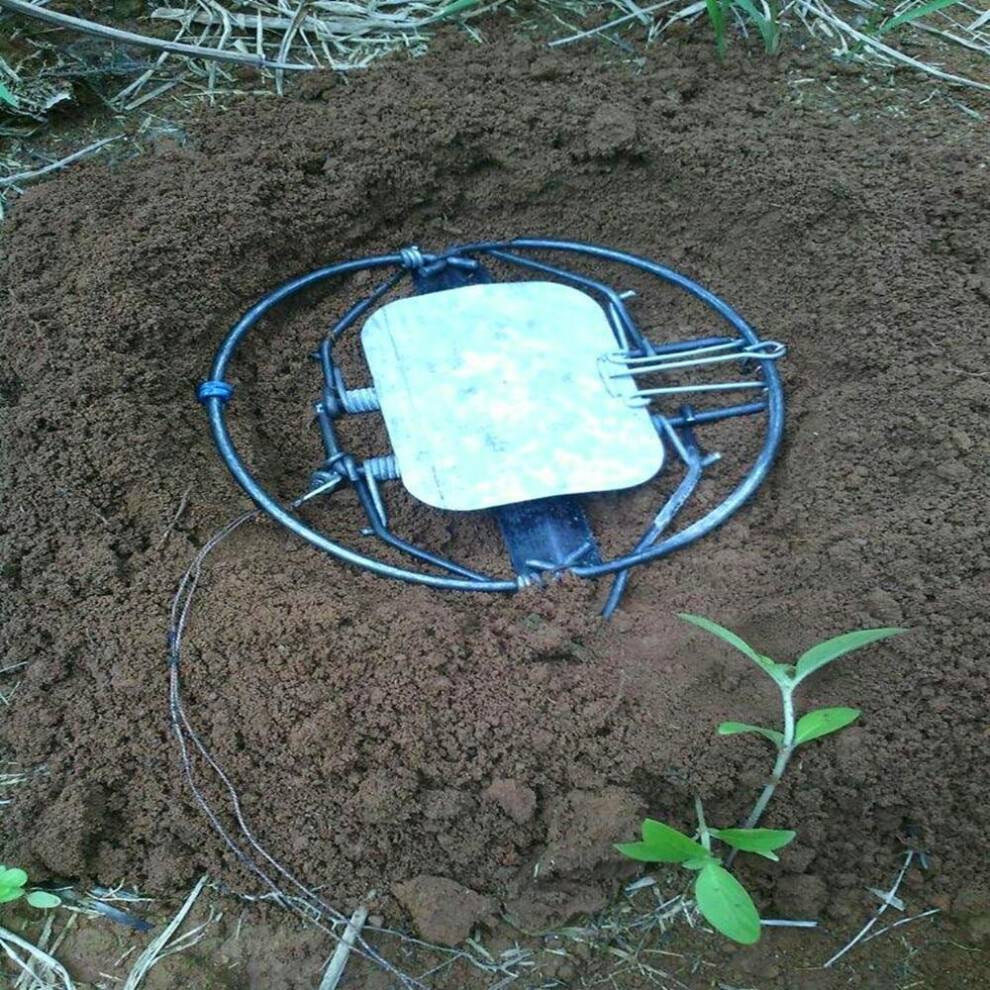 Spring Trap For Animal Hunting