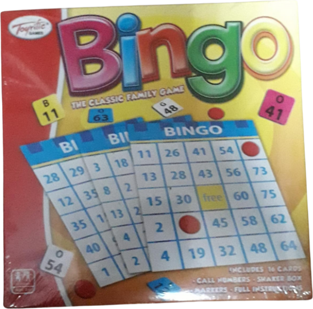 Bingo Kids Educational Game