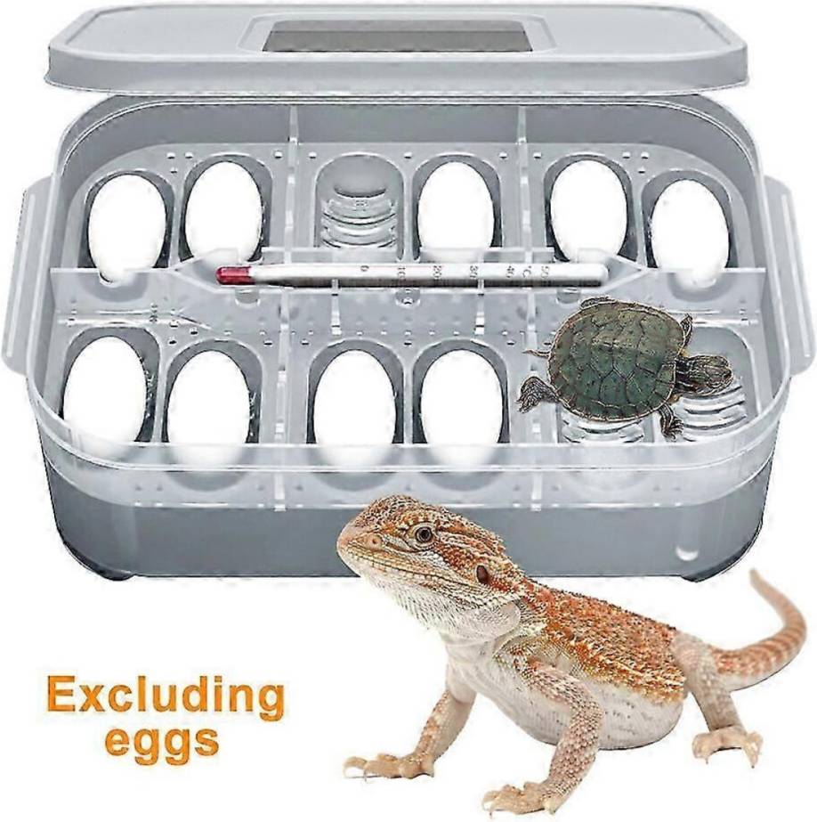 Lizard Reptile Breeding Box With Thermometer
