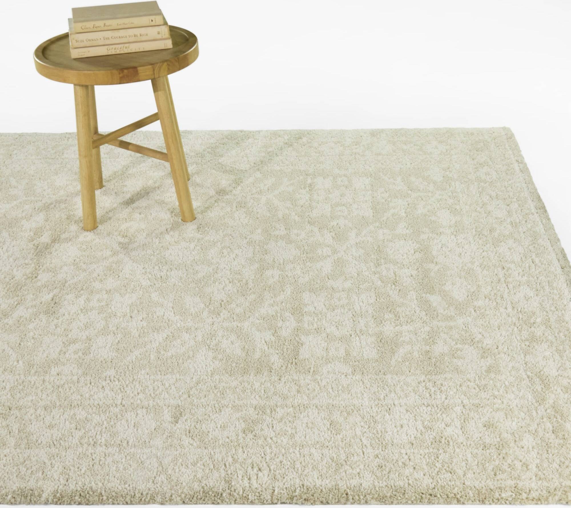 Ariosto Minimalist Traditional Area Rug