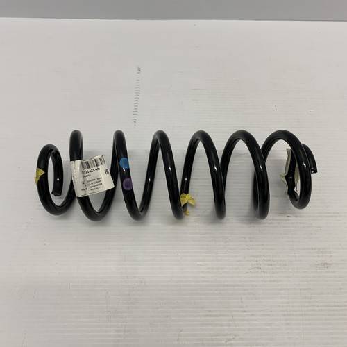 Volkswagen Passat Rear Coil Spring 06-22