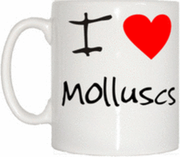 TeeTreeDesigns I Love Heart Molluscs Cup & Mug