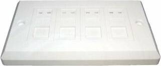 Ex-Pro RJ45 4 Port Cat6 Loaded Face Plate
