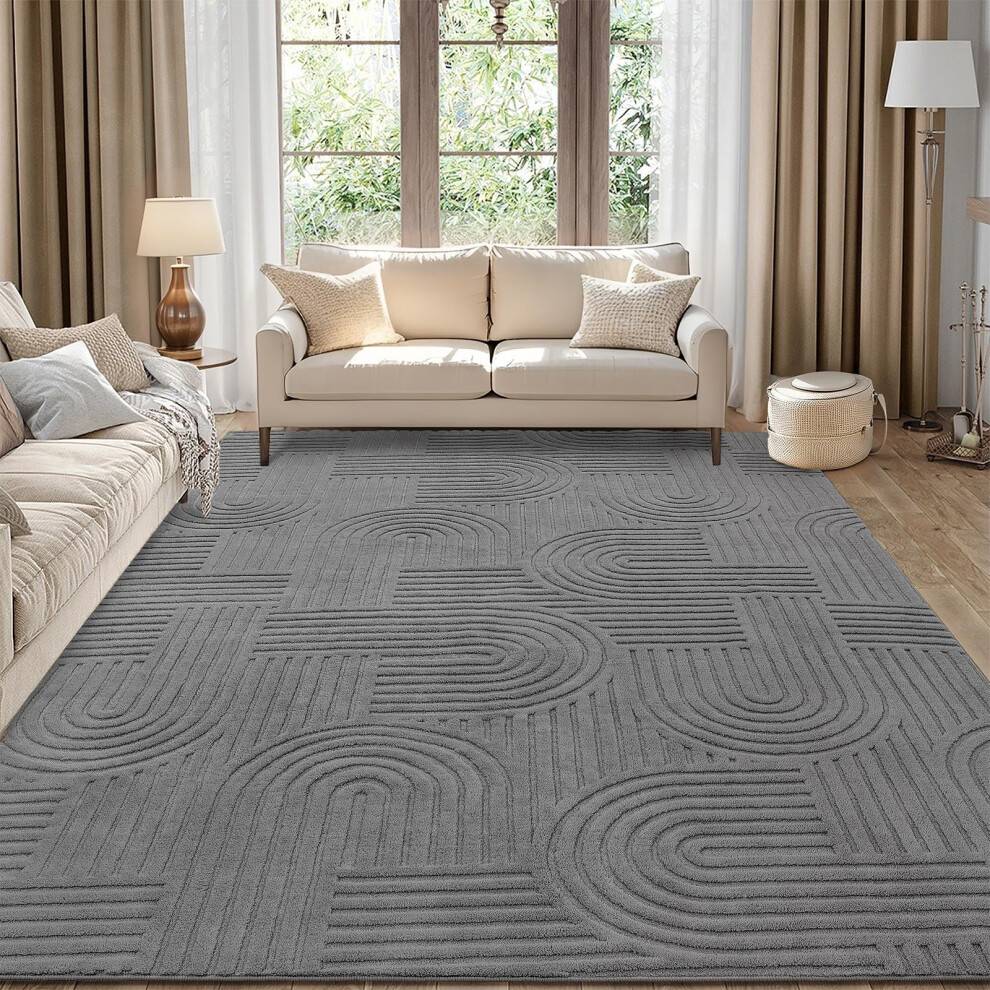 Large Rug Living Room