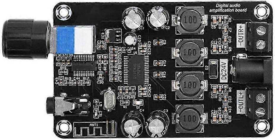Kikidex DC12V-24V Class D Amplifier Module