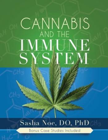 Cannabis Cannabis And The Immune System