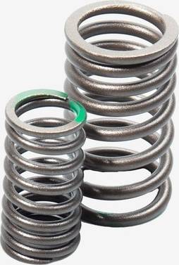 CMPO Motorcycle Valve Spring Set VLVS002