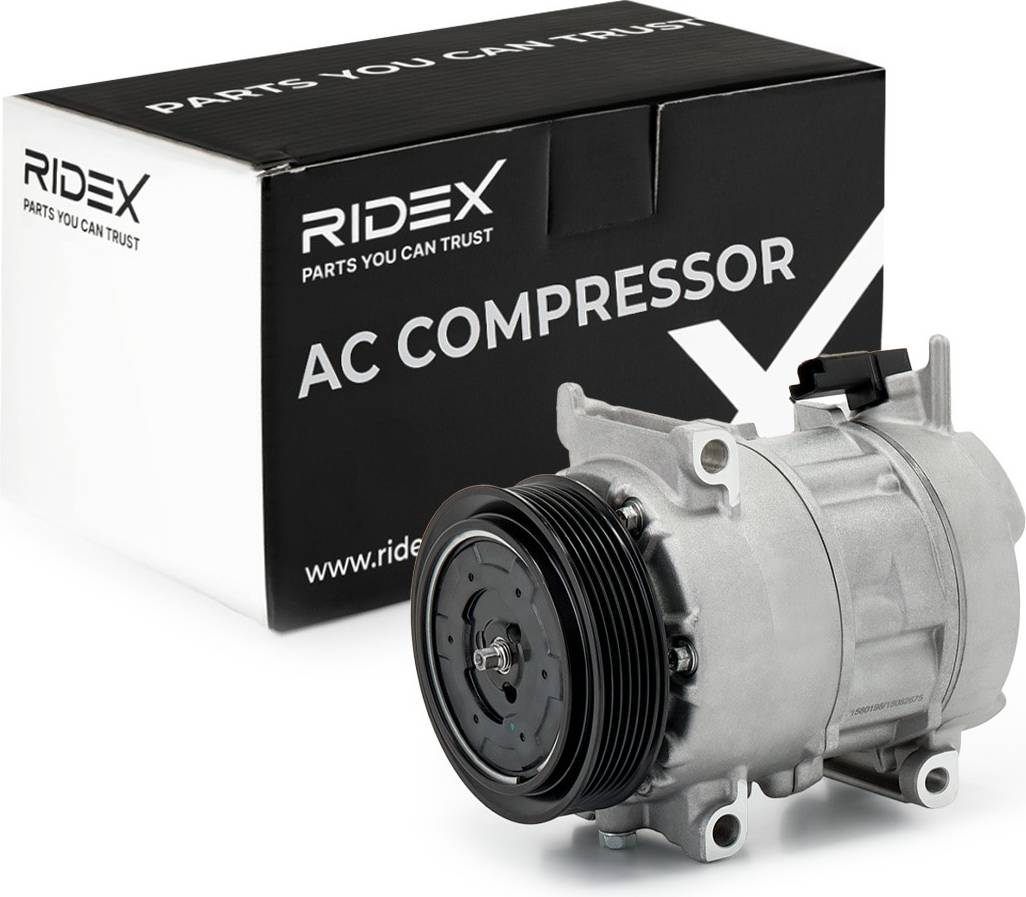Ridex AC Compressor PAG 46 YF R134a
