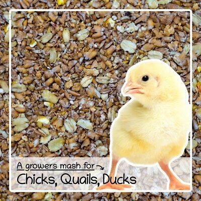Chick Crumb Feed Complete Grower