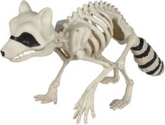 Halloween skeleton decorations Red Shed Raccoon Skeleton