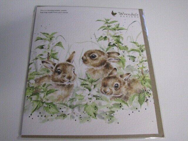 Spring Hares