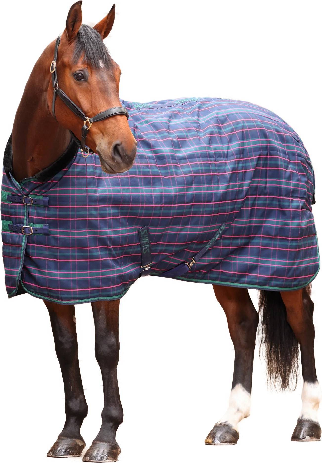 Tempest Plus Standard-Neck Checked Rug - Navy/Tartan