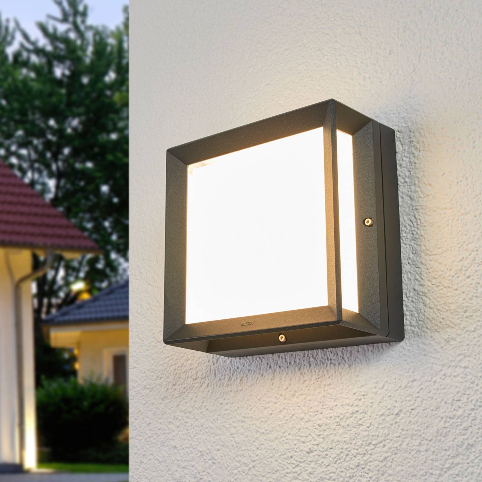 LED Graphite 3000 K Satiné
