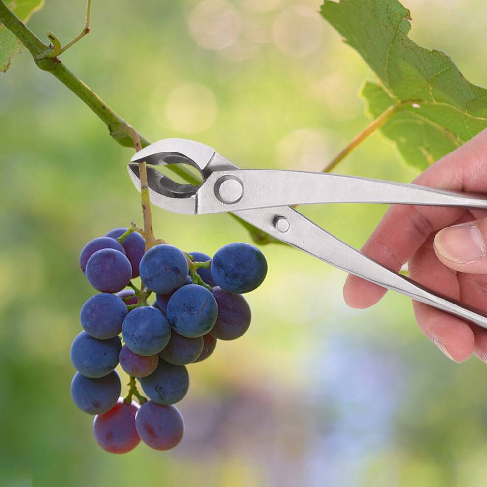 Multifunctional Stainless Steel Branch Cutter