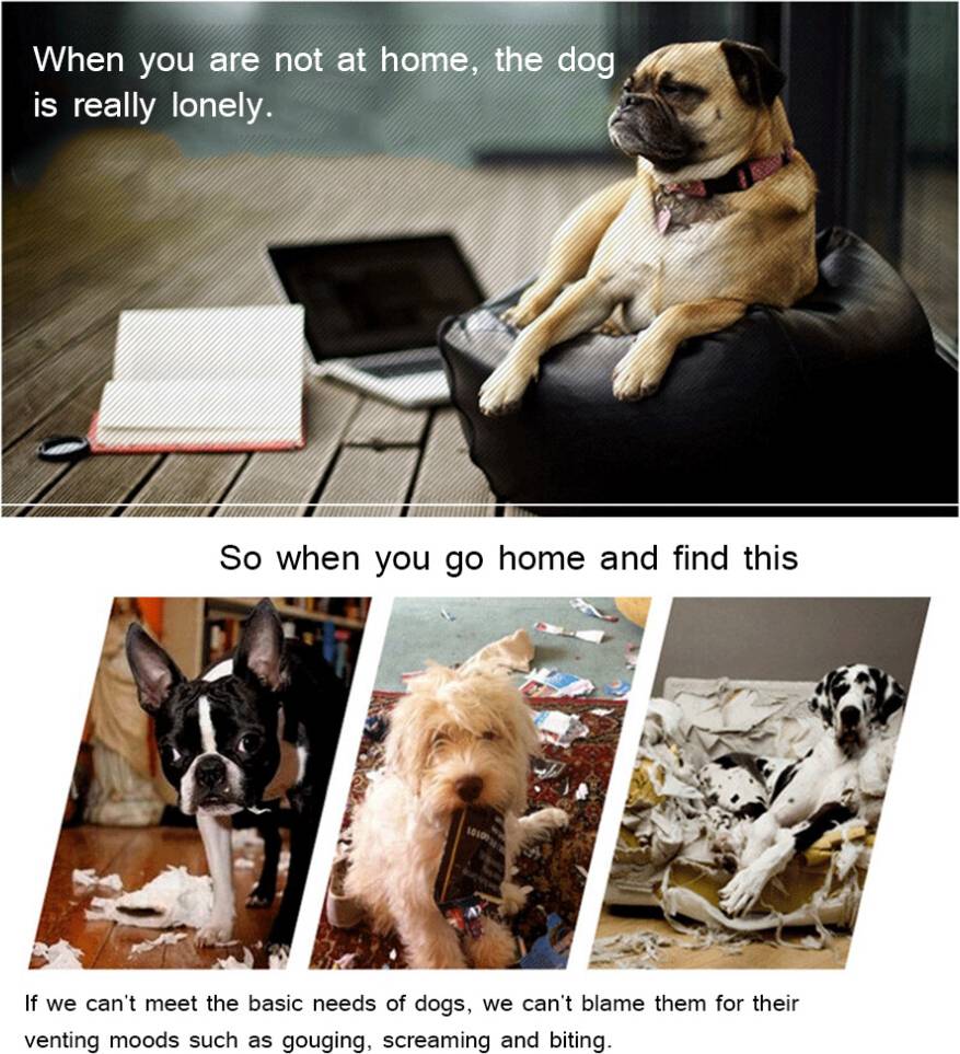Exercise ring Pet Ring EVA Training Exercise Rings