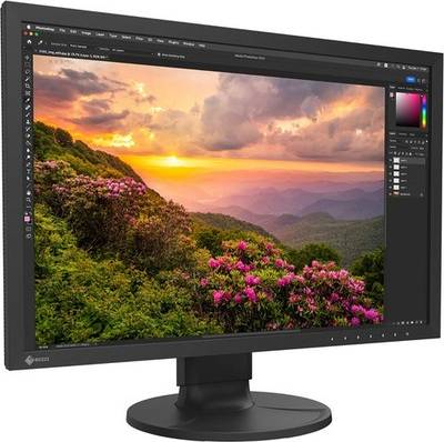 Eizo ColorEdge CS2400S-BK Computer Monitor