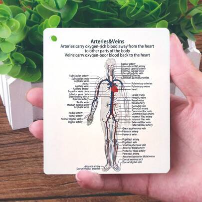 Comprehensive Medical And Nursing Study Guide Set