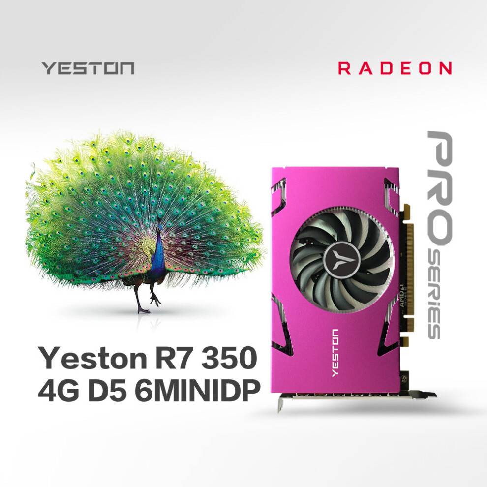 Yeston Yeston R7 350 4G D5 6MINIDP Graphics Card