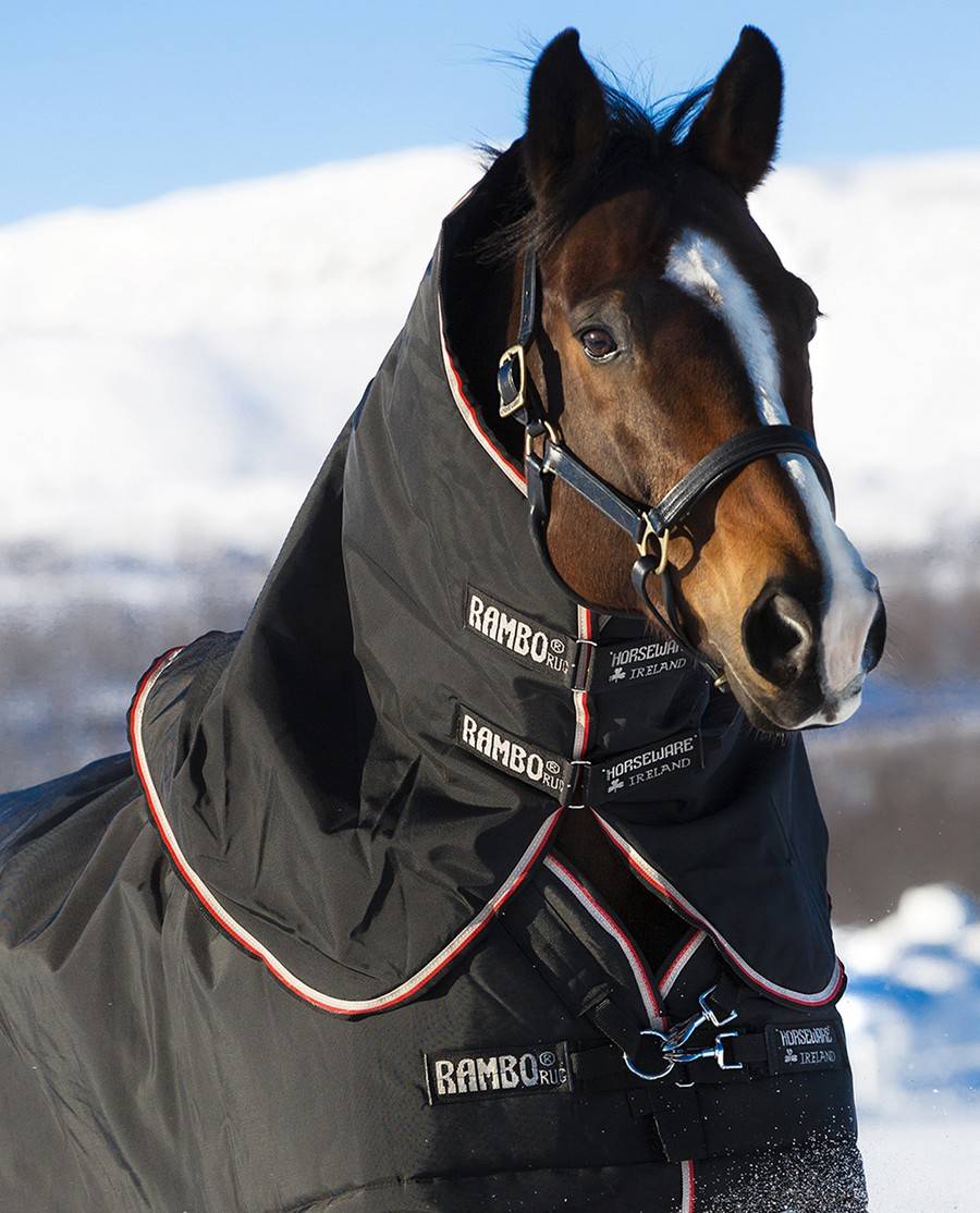 Horseware Neck Rug Rambo 1680D Plus Turnout - Noir