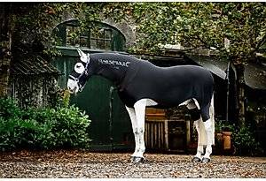 Horseware rambo Horseware Rambo Slinky Full Body
